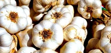 aveți