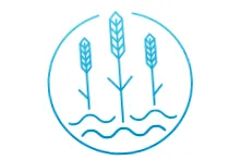 víznap carpathian