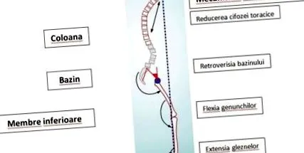 централната специјалист