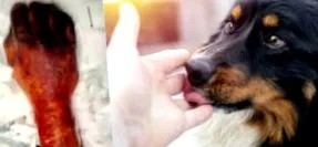 колко колко