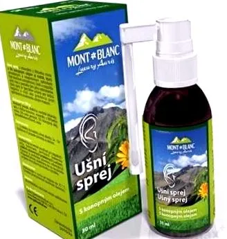 experiența auris