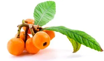 delicios nisprul