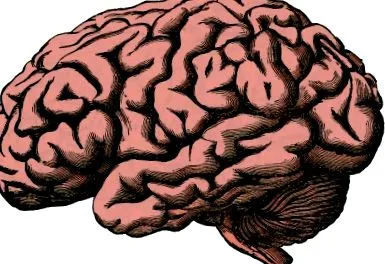 modafinil modafinil