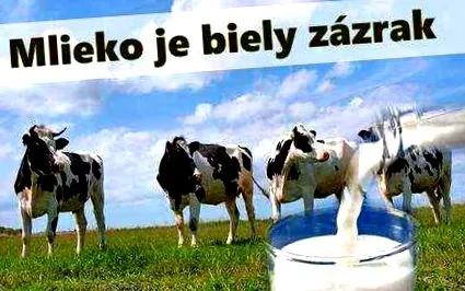 млякото чудо