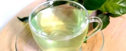 zöldtea részesülő