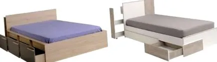 diákja