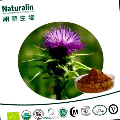 lapte ciulin