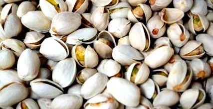 dulci