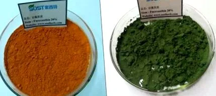 extract fucoxantină