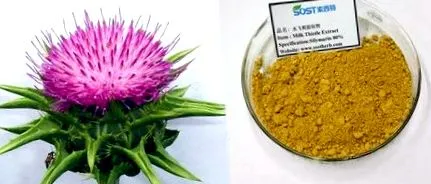 ciulin pulbere