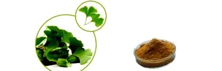 calitate extract
