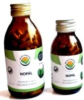 cactus nopal