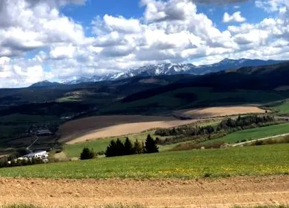 vine nimeni