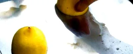 bananelor bananelor