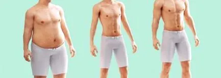 ectomorfului