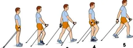 nordic walking