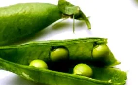 borsó pestóval