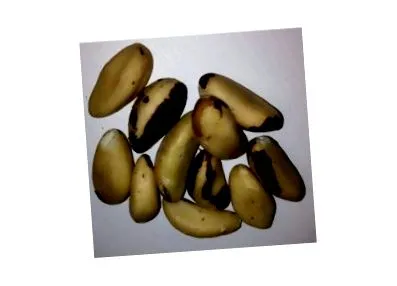 acid pantotenic pecani