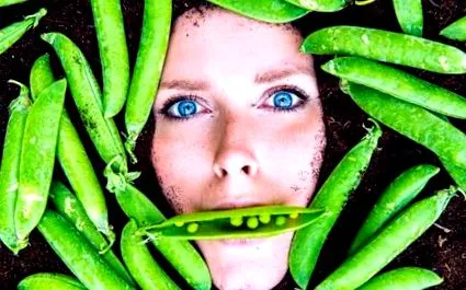 egészséges orthorexia