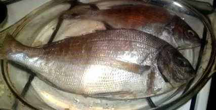 dorată ierburi