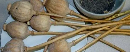calciu calciu