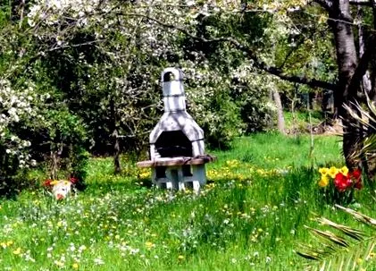 insectele