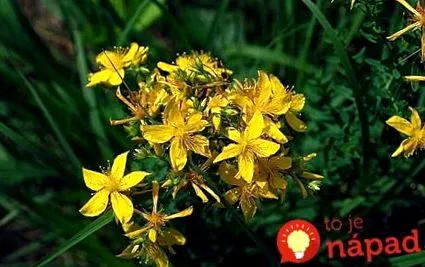 noastre sfaturile