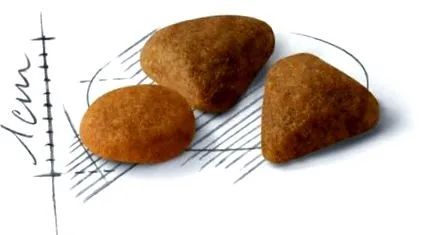 10kg savor