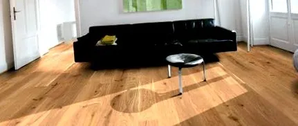 renovarea