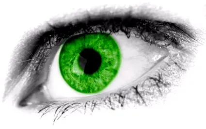 spirulina
