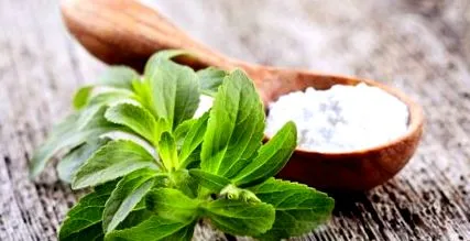 stevia folositi-l
