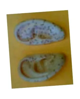 aduce natura