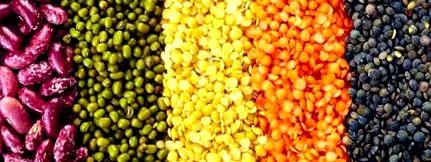 vegetarieni aminoacizi esențiali