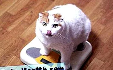 защо
