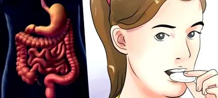 detoxifiere