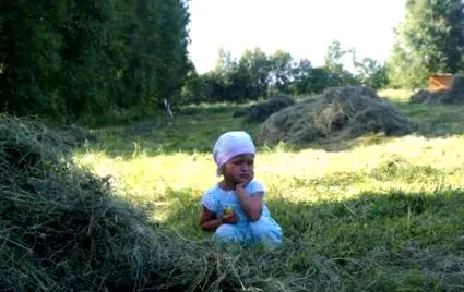 екологічні