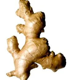 ghimbir