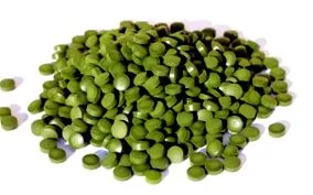 chlorella