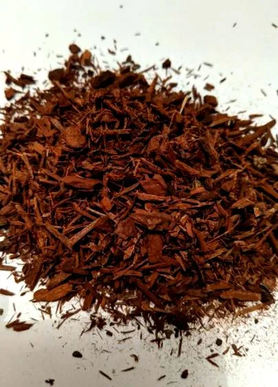 pausinystalia