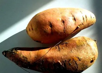 clătite