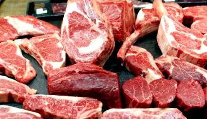 vită carne