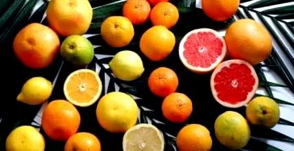 grapefruit