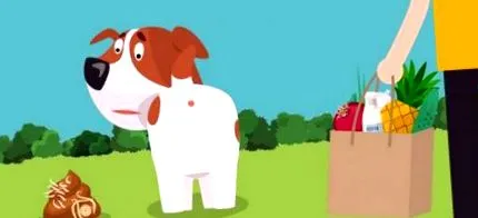câinilor