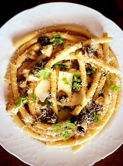 ciuperci ciuperci
