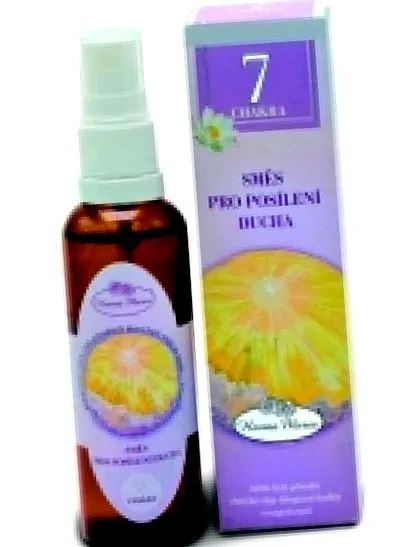 spiritului întărire