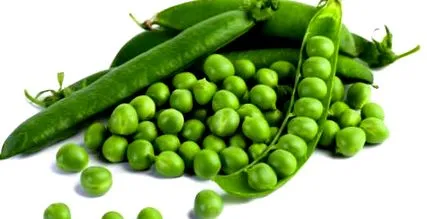 verde legume