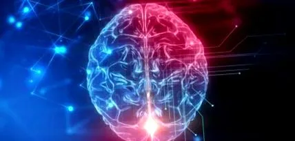 cerebral