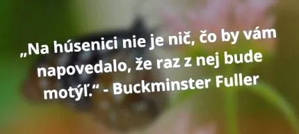 pentru pentru