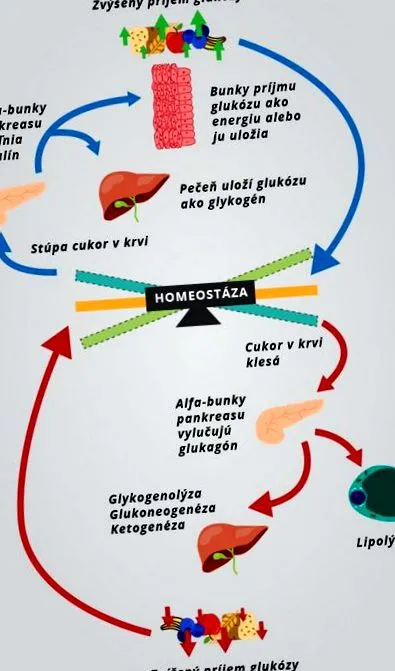ketogenic