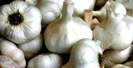 dezgustător usturoiul